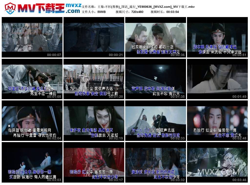 王菊-不枉(替换)_国语_流行_YE900636